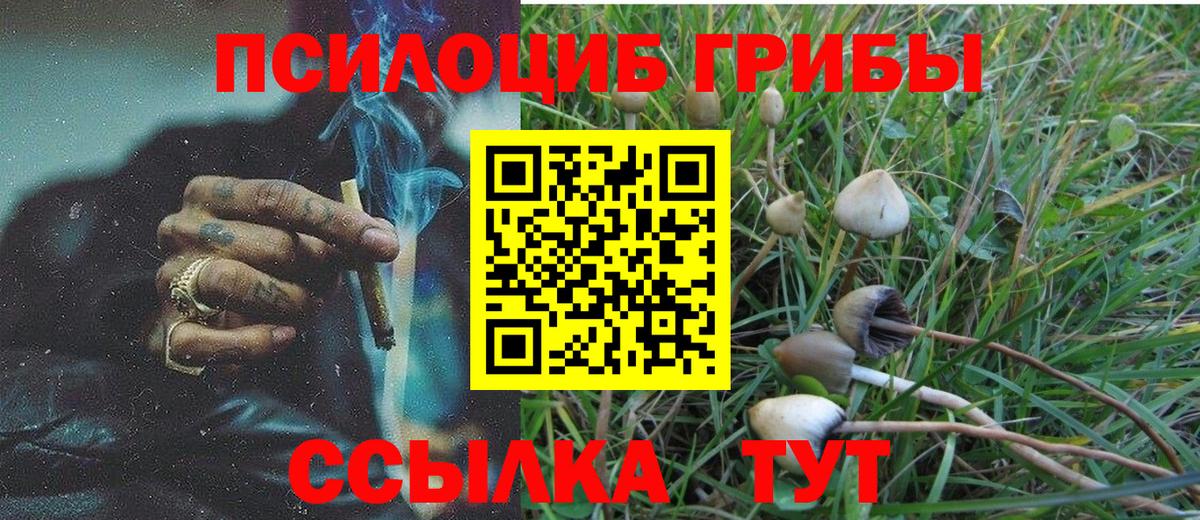 Ковров  Галлюциногенные грибы GOLDEN TEACHER  Вход с VPN 